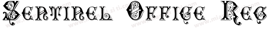 Sentinel Office Regu字体转换
